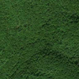 Satellite imagery of Cowcamp Ridge, US