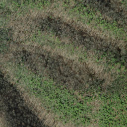 Satellite imagery of Caney Lead, US