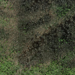 Satellite imagery of Caney Lead, US