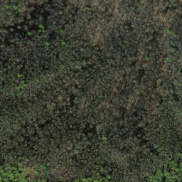 Satellite imagery of Caney Lead, US