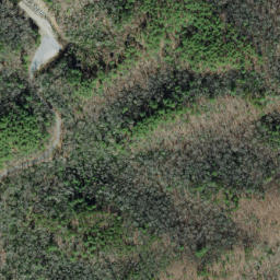 Satellite imagery of Firescald Ridge, US