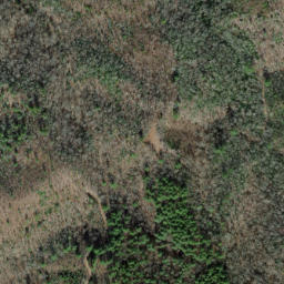 Satellite imagery of Firescald Ridge, US