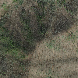 Satellite imagery of Firescald Ridge, US