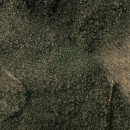 Satellite imagery of Lickstone Ridge, US