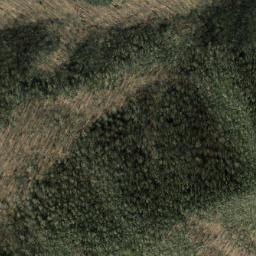 Satellite imagery of Three Tree Ridge, US