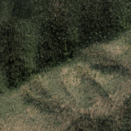 Satellite imagery of Three Tree Ridge, US