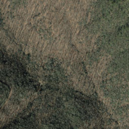 Satellite imagery of Big Ridge, US