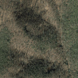Satellite imagery of Trace Ridge, US