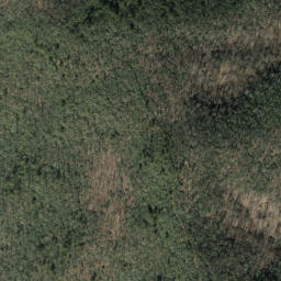 Satellite imagery of Trace Ridge, US