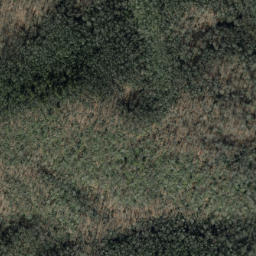 Satellite imagery of Trace Ridge, US