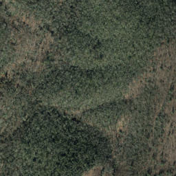 Satellite imagery of Brushy Ridge, US