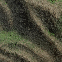 Satellite imagery of Caney Lead, US
