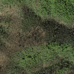 Satellite imagery of Caney Lead, US