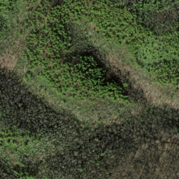 Satellite imagery of Caney Lead, US