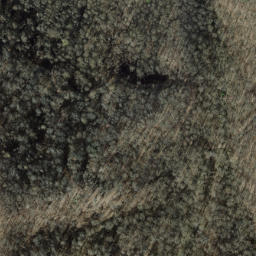 Satellite imagery of Bee Cove Lead, US