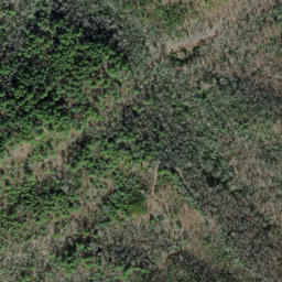 Satellite imagery of Firescald Ridge, US
