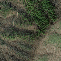 Satellite imagery of Firescald Ridge, US