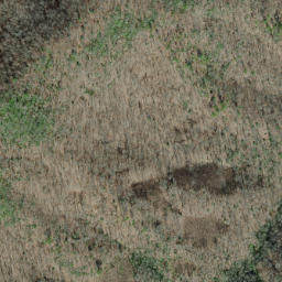 Satellite imagery of Firescald Ridge, US