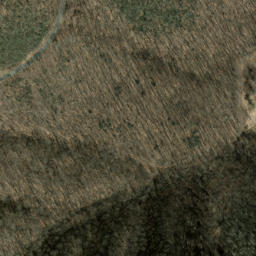 Satellite imagery of Cove Field Ridge, US