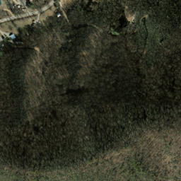 Satellite imagery of Cove Field Ridge, US