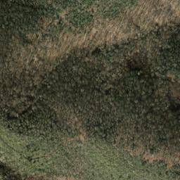Satellite imagery of Three Tree Ridge, US