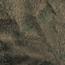 Satellite imagery of Beetree Ridge, US