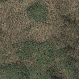 Satellite imagery of Beetree Ridge, US