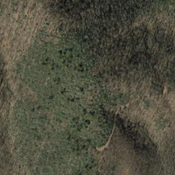 Satellite imagery of Beetree Ridge, US