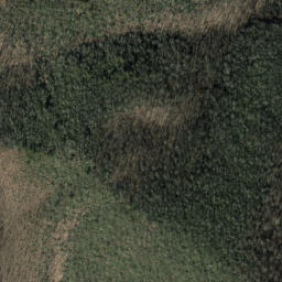 Satellite imagery of Big Ridge, US