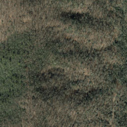 Satellite imagery of Trace Ridge, US