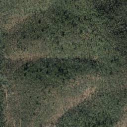 Satellite imagery of Trace Ridge, US