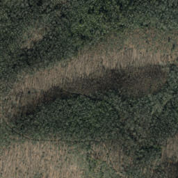 Satellite imagery of Trace Ridge, US