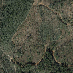 Satellite imagery of Brushy Ridge, US