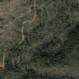 Satellite imagery of Brushy Ridge, US