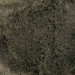 Satellite imagery of Bee Cove Lead, US