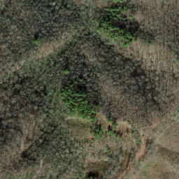 Satellite imagery of Yellow Creek Mountains, US