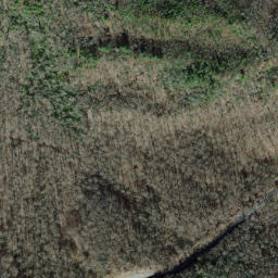 Satellite imagery of Firescald Ridge, US