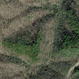 Satellite imagery of Firescald Ridge, US