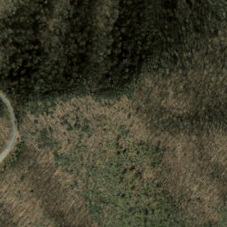 Satellite imagery of Cove Field Ridge, US