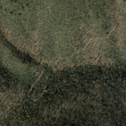 Satellite imagery of Cove Field Ridge, US