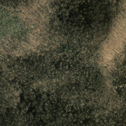 Satellite imagery of Roberson Ridge, US
