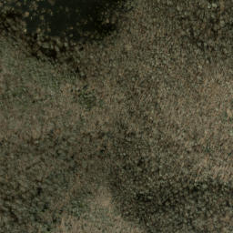Satellite imagery of Lickstone Ridge, US