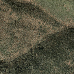 Satellite imagery of Three Tree Ridge, US