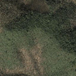 Satellite imagery of Beetree Ridge, US