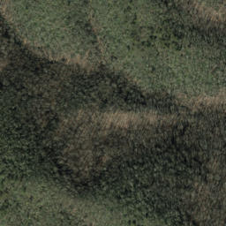 Satellite imagery of Beetree Ridge, US