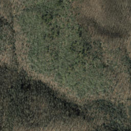 Satellite imagery of Beetree Ridge, US