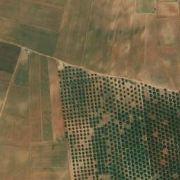 Satellite imagery of Argoub Bennt Kadit, DZ