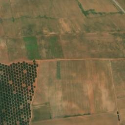 Satellite imagery of Argoub Bennt Kadit, DZ