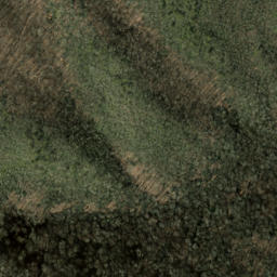 Satellite imagery of Rocky Branch Ridge, US