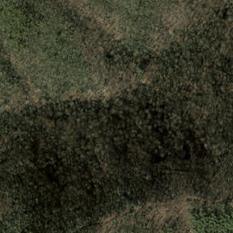 Satellite imagery of Rocky Branch Ridge, US